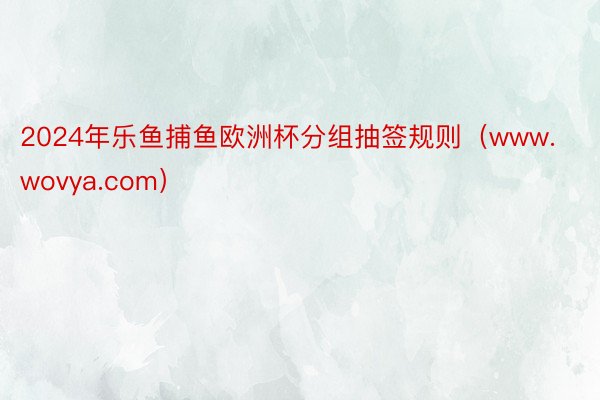 2024年乐鱼捕鱼欧洲杯分组抽签规则(www.wovya.com)