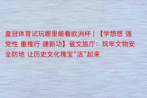 皇冠体育试玩哪里能看欧洲杯 | 【学想想 强党性 重推行 建新功】省文旅厅:筑牢文物安全防地 让历史文化瑰宝“活”起来