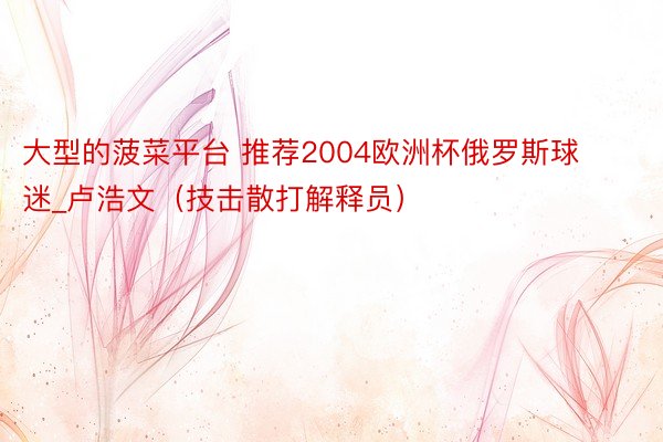 大型的菠菜平台 推荐2004欧洲杯俄罗斯球迷_卢浩文(技击散打解释员)
